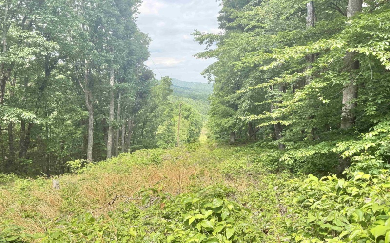TBD Big Pigeon Road, Procious, West Virginia 25164, 0 , 0 ,0,Lots/land,For Sale,Big Pigeon,0,10166801