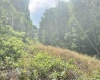TBD Big Pigeon Road, Procious, West Virginia 25164, 0 , 0 ,0,Lots/land,For Sale,Big Pigeon,0,10166801