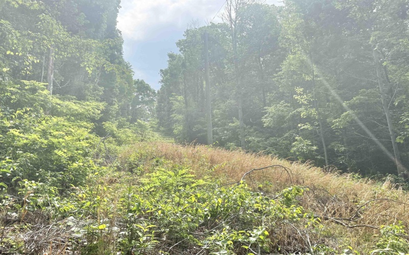 TBD Big Pigeon Road, Procious, West Virginia 25164, 0 , 0 ,0,Lots/land,For Sale,Big Pigeon,0,10166801