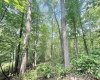 TBD Big Pigeon Road, Procious, West Virginia 25164, 0 , 0 ,0,Lots/land,For Sale,Big Pigeon,0,10166801