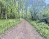 TBD Big Pigeon Road, Procious, West Virginia 25164, 0 , 0 ,0,Lots/land,For Sale,Big Pigeon,0,10166801