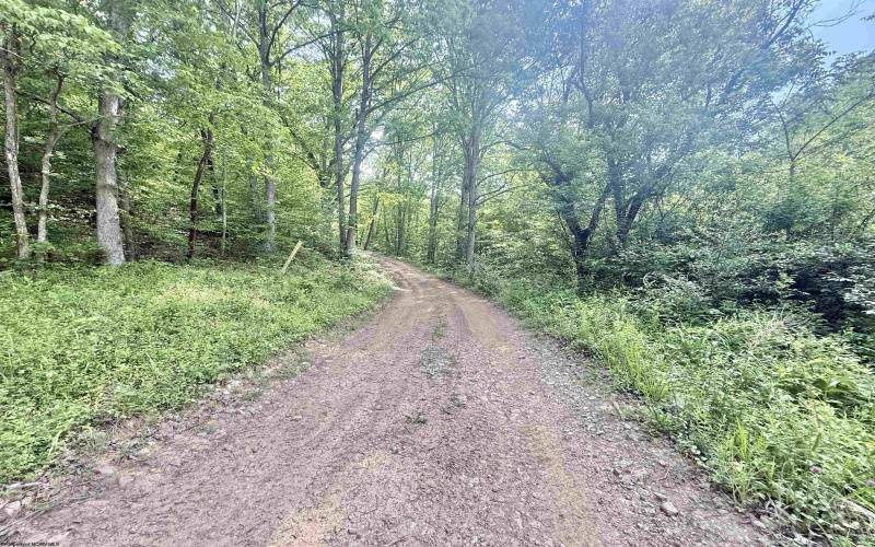 TBD Big Pigeon Road, Procious, West Virginia 25164, 0 , 0 ,0,Lots/land,For Sale,Big Pigeon,0,10166801
