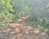 TBD Big Pigeon Road, Procious, West Virginia 25164, 0 , 0 ,0,Lots/land,For Sale,Big Pigeon,0,10166801