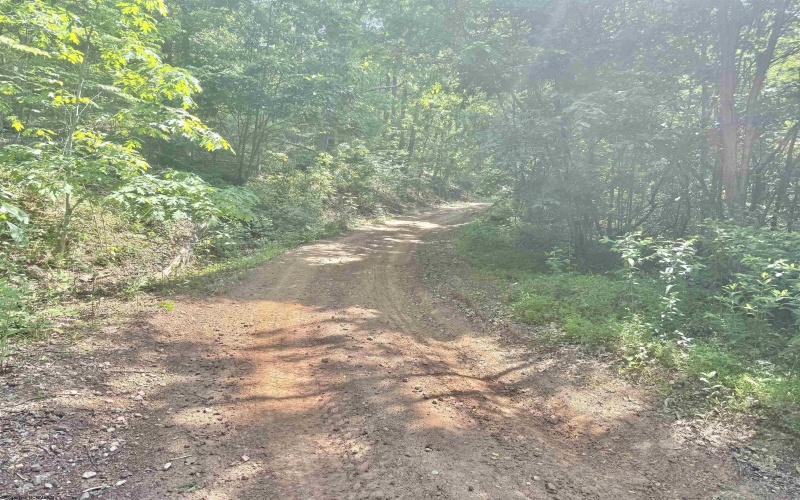 TBD Big Pigeon Road, Procious, West Virginia 25164, 0 , 0 ,0,Lots/land,For Sale,Big Pigeon,0,10166801