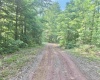 TBD Big Pigeon Road, Procious, West Virginia 25164, 0 , 0 ,0,Lots/land,For Sale,Big Pigeon,0,10166801