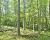 TBD Big Pigeon Road, Procious, West Virginia 25164, 0 , 0 ,0,Lots/land,For Sale,Big Pigeon,0,10166801