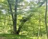 TBD Big Pigeon Road, Procious, West Virginia 25164, 0 , 0 ,0,Lots/land,For Sale,Big Pigeon,0,10166801