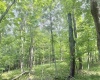 TBD Big Pigeon Road, Procious, West Virginia 25164, 0 , 0 ,0,Lots/land,For Sale,Big Pigeon,0,10166801