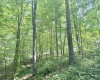 TBD Big Pigeon Road, Procious, West Virginia 25164, 0 , 0 ,0,Lots/land,For Sale,Big Pigeon,0,10166801