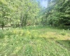 TBD Big Pigeon Road, Procious, West Virginia 25164, 0 , 0 ,0,Lots/land,For Sale,Big Pigeon,0,10166801