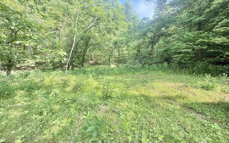 TBD Big Pigeon Road, Procious, West Virginia 25164, 0 , 0 ,0,Lots/land,For Sale,Big Pigeon,0,10166801