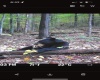 TBD Big Pigeon Road, Procious, West Virginia 25164, 0 , 0 ,0,Lots/land,For Sale,Big Pigeon,0,10166801
