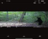 TBD Big Pigeon Road, Procious, West Virginia 25164, 0 , 0 ,0,Lots/land,For Sale,Big Pigeon,0,10166801