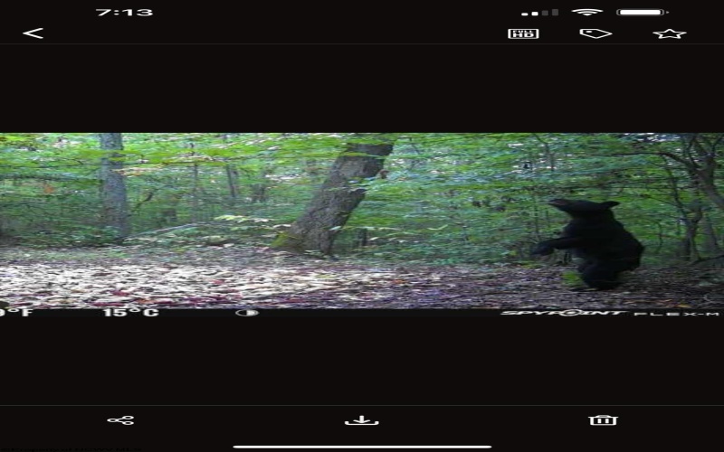 TBD Big Pigeon Road, Procious, West Virginia 25164, 0 , 0 ,0,Lots/land,For Sale,Big Pigeon,0,10166801