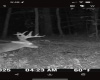TBD Big Pigeon Road, Procious, West Virginia 25164, 0 , 0 ,0,Lots/land,For Sale,Big Pigeon,0,10166801