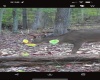 TBD Big Pigeon Road, Procious, West Virginia 25164, 0 , 0 ,0,Lots/land,For Sale,Big Pigeon,0,10166801