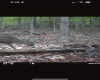 TBD Big Pigeon Road, Procious, West Virginia 25164, 0 , 0 ,0,Lots/land,For Sale,Big Pigeon,0,10166801