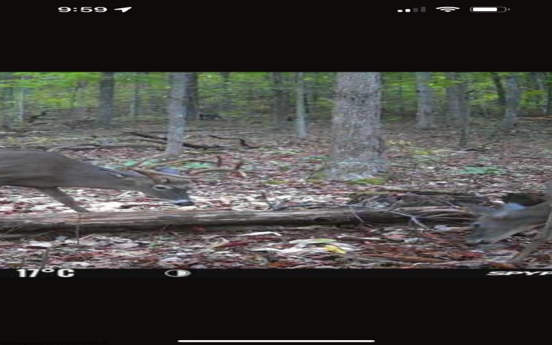 TBD Big Pigeon Road, Procious, West Virginia 25164, 0 , 0 ,0,Lots/land,For Sale,Big Pigeon,0,10166801