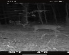 TBD Big Pigeon Road, Procious, West Virginia 25164, 0 , 0 ,0,Lots/land,For Sale,Big Pigeon,0,10166801