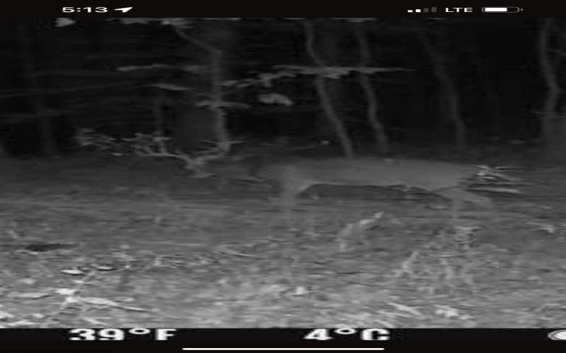 TBD Big Pigeon Road, Procious, West Virginia 25164, 0 , 0 ,0,Lots/land,For Sale,Big Pigeon,0,10166801