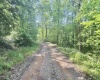 TBD Big Pigeon Road, Procious, West Virginia 25164, 0 , 0 ,0,Lots/land,For Sale,Big Pigeon,0,10166801