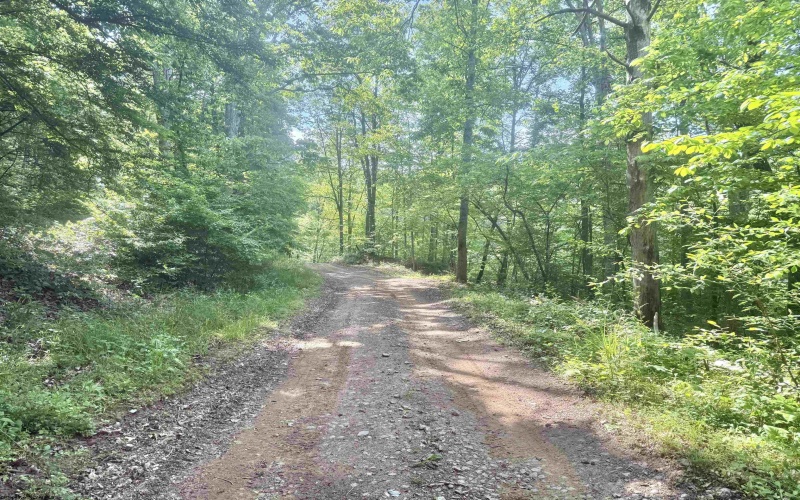 TBD Big Pigeon Road, Procious, West Virginia 25164, 0 , 0 ,0,Lots/land,For Sale,Big Pigeon,0,10166801