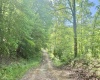 TBD Big Pigeon Road, Procious, West Virginia 25164, 0 , 0 ,0,Lots/land,For Sale,Big Pigeon,0,10166801