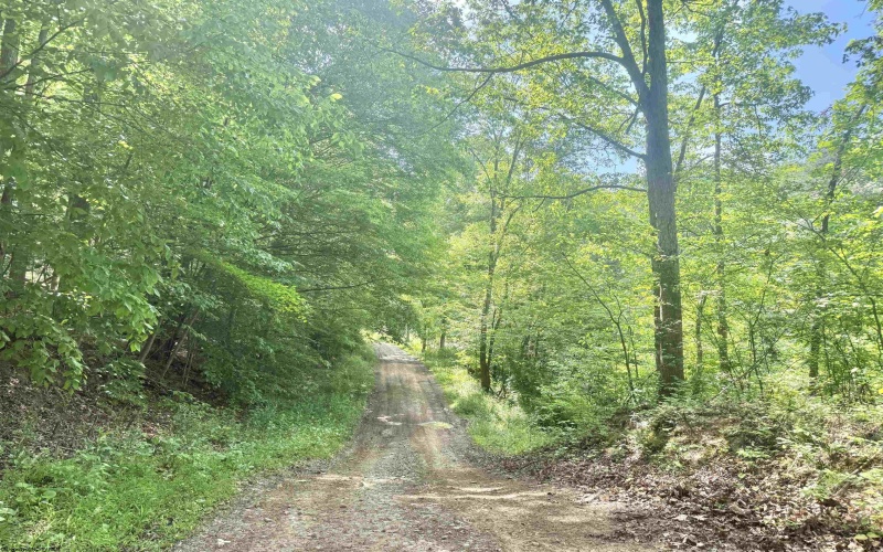 TBD Big Pigeon Road, Procious, West Virginia 25164, 0 , 0 ,0,Lots/land,For Sale,Big Pigeon,0,10166801