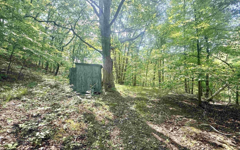 TBD Big Pigeon Road, Procious, West Virginia 25164, 0 , 0 ,0,Lots/land,For Sale,Big Pigeon,0,10166801