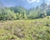 TBD Big Pigeon Road, Procious, West Virginia 25164, 0 , 0 ,0,Lots/land,For Sale,Big Pigeon,0,10166801