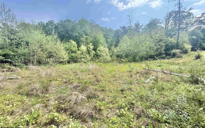 TBD Big Pigeon Road, Procious, West Virginia 25164, 0 , 0 ,0,Lots/land,For Sale,Big Pigeon,0,10166801