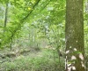 TBD Big Pigeon Road, Procious, West Virginia 25164, 0 , 0 ,0,Lots/land,For Sale,Big Pigeon,0,10166801
