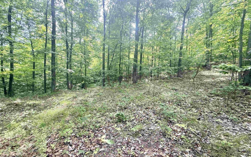 TBD Big Pigeon Road, Procious, West Virginia 25164, 0 , 0 ,0,Lots/land,For Sale,Big Pigeon,0,10166801
