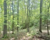 TBD Big Pigeon Road, Procious, West Virginia 25164, 0 , 0 ,0,Lots/land,For Sale,Big Pigeon,0,10166801