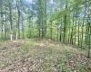 TBD Big Pigeon Road, Procious, West Virginia 25164, 0 , 0 ,0,Lots/land,For Sale,Big Pigeon,0,10166801