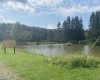 254 F William Avenue, Davis, West Virginia 26260, 0 , 0 ,0,Lots/land,For Sale,William,0,10166806