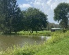 254 F William Avenue, Davis, West Virginia 26260, 0 , 0 ,0,Lots/land,For Sale,William,0,10166806