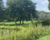 254 F William Avenue, Davis, West Virginia 26260, 0 , 0 ,0,Lots/land,For Sale,William,0,10166806