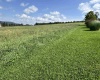 TBD Stemple Ridge Road, Aurora, West Virginia 26705, 0 , 0 ,0,Lots/land,For Sale,Stemple Ridge,0,10166809
