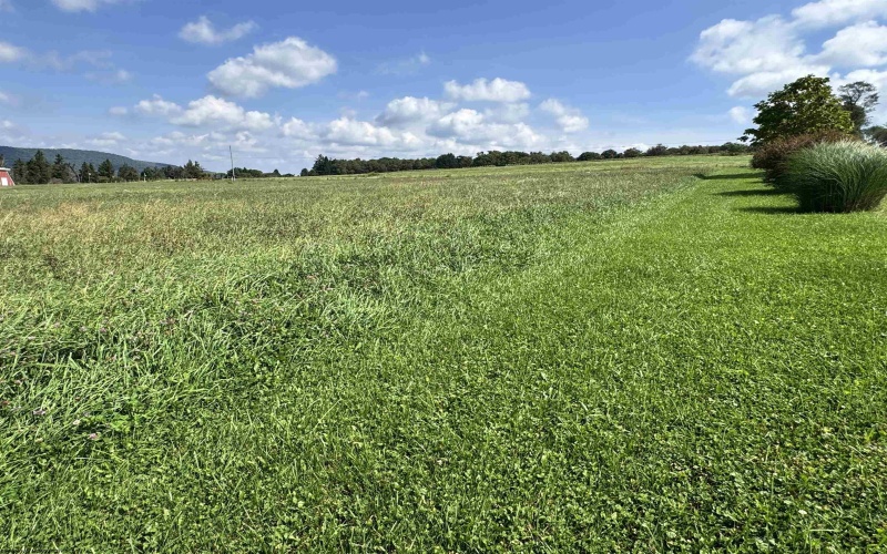TBD Stemple Ridge Road, Aurora, West Virginia 26705, 0 , 0 ,0,Lots/land,For Sale,Stemple Ridge,0,10166809