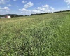 TBD Stemple Ridge Road, Aurora, West Virginia 26705, 0 , 0 ,0,Lots/land,For Sale,Stemple Ridge,0,10166809