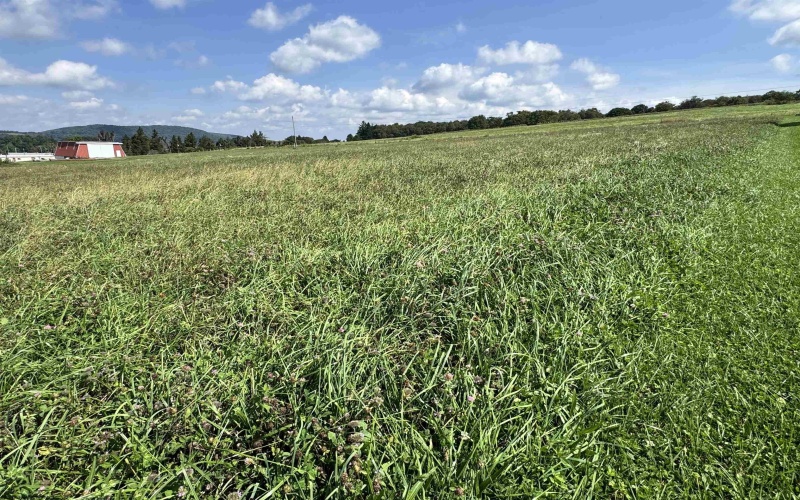 TBD Stemple Ridge Road, Aurora, West Virginia 26705, 0 , 0 ,0,Lots/land,For Sale,Stemple Ridge,0,10166809
