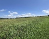 TBD Stemple Ridge Road, Aurora, West Virginia 26705, 0 , 0 ,0,Lots/land,For Sale,Stemple Ridge,0,10166809