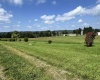 TBD Stemple Ridge Road, Aurora, West Virginia 26705, 0 , 0 ,0,Lots/land,For Sale,Stemple Ridge,0,10166809