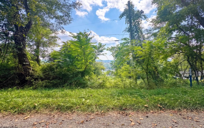 TBD Allegheny Avenue, Fairmont, West Virginia 26554, 0 , 0 ,0,Lots/land,For Sale,Allegheny,0,10166812