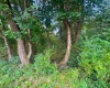 TBD Allegheny Avenue, Fairmont, West Virginia 26554, 0 , 0 ,0,Lots/land,For Sale,Allegheny,0,10166812