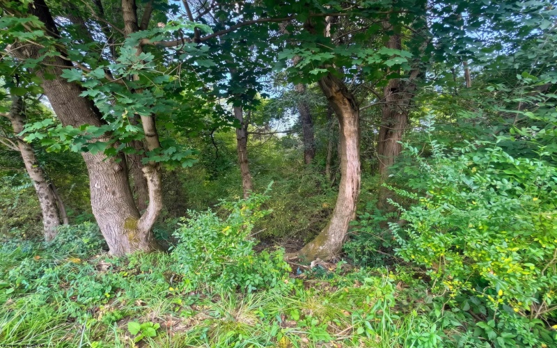 TBD Allegheny Avenue, Fairmont, West Virginia 26554, 0 , 0 ,0,Lots/land,For Sale,Allegheny,0,10166812