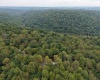 129 Grouse Run Road, Bruceton Mills, West Virginia 26525, 0 , 0 ,0,Lots/land,For Sale,Grouse Run,0,10166817