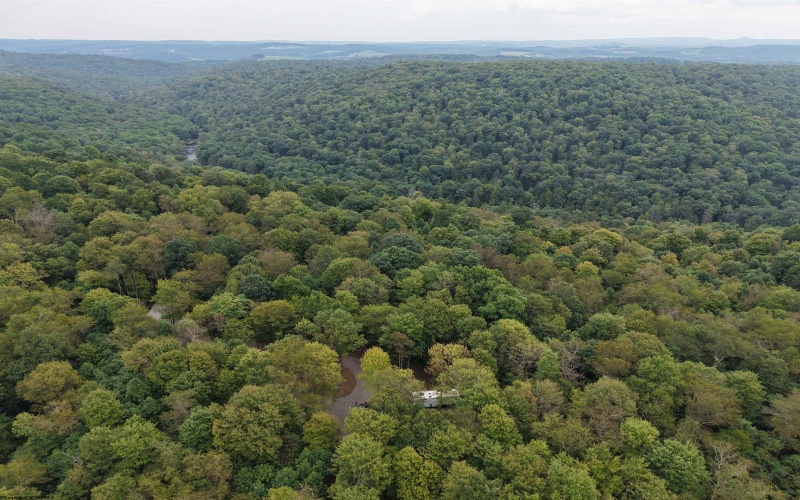 129 Grouse Run Road, Bruceton Mills, West Virginia 26525, 0 , 0 ,0,Lots/land,For Sale,Grouse Run,0,10166817