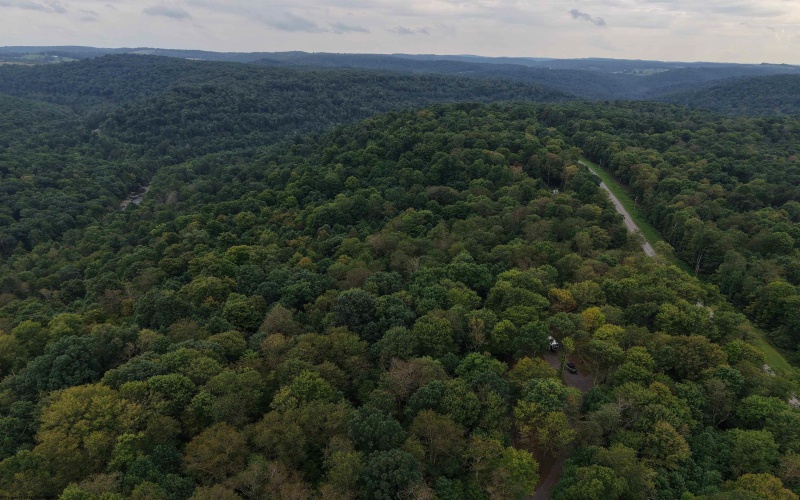 129 Grouse Run Road, Bruceton Mills, West Virginia 26525, 0 , 0 ,0,Lots/land,For Sale,Grouse Run,0,10166817